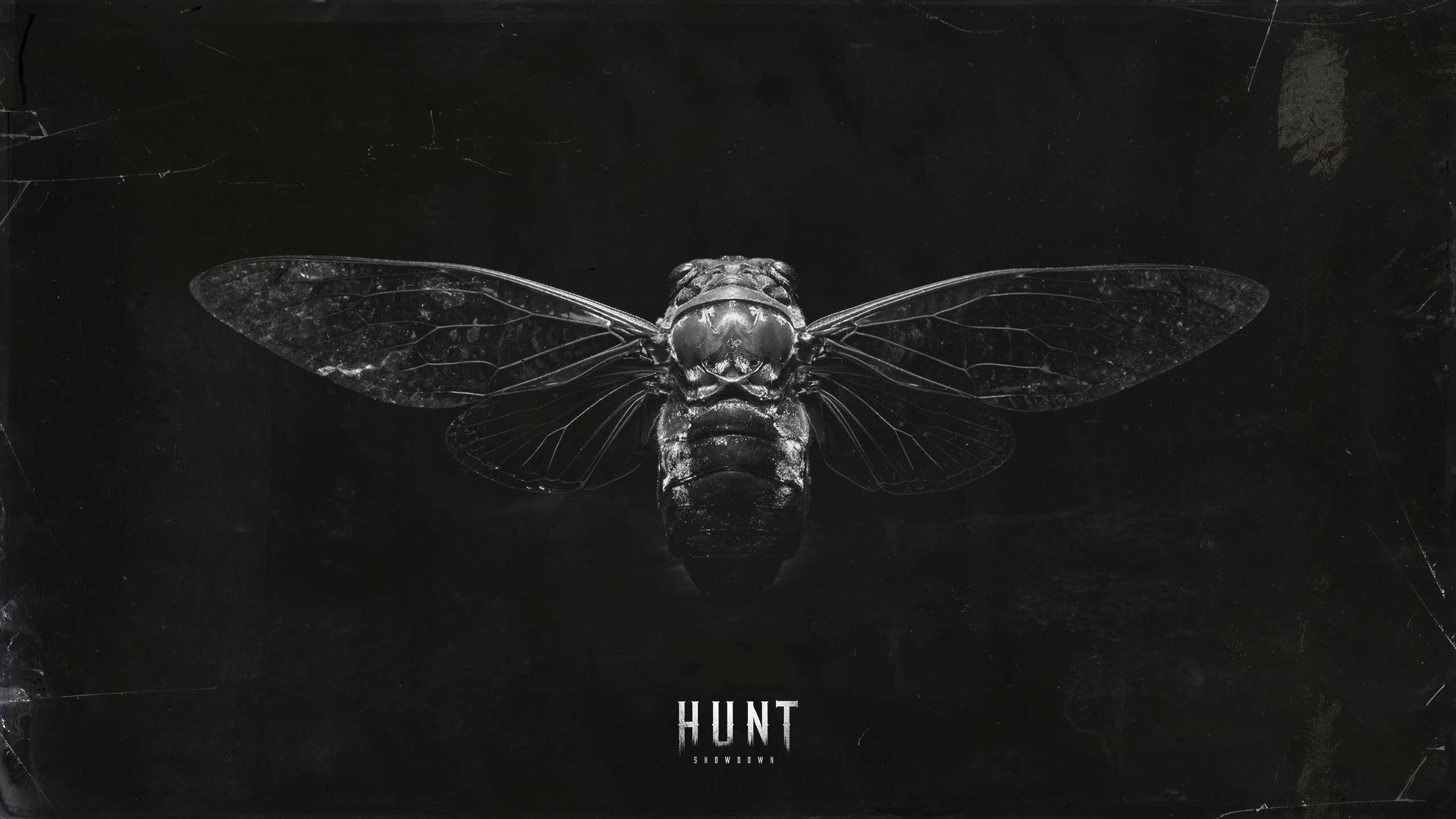 Hunt Showdown Media